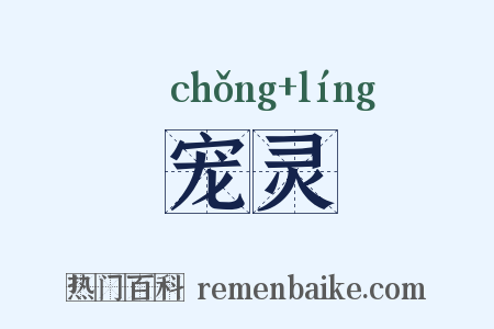 宠灵是什么意思的图片